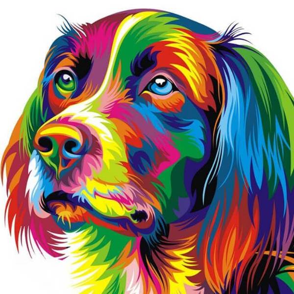 Colourful Dog - DIY Diamond  Painting