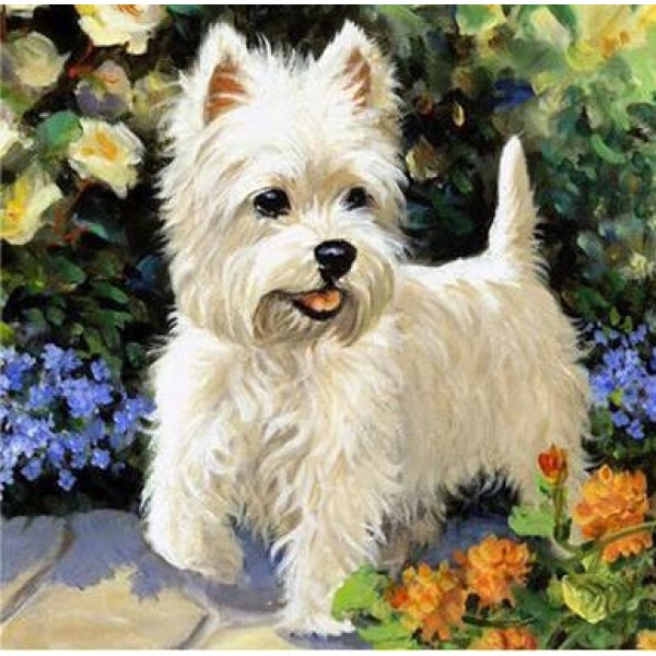 Little White Puppy - DIY Diamond  Painting