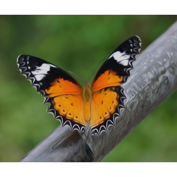 Heart-shaped Butterfly - DIY Diamond Painting
