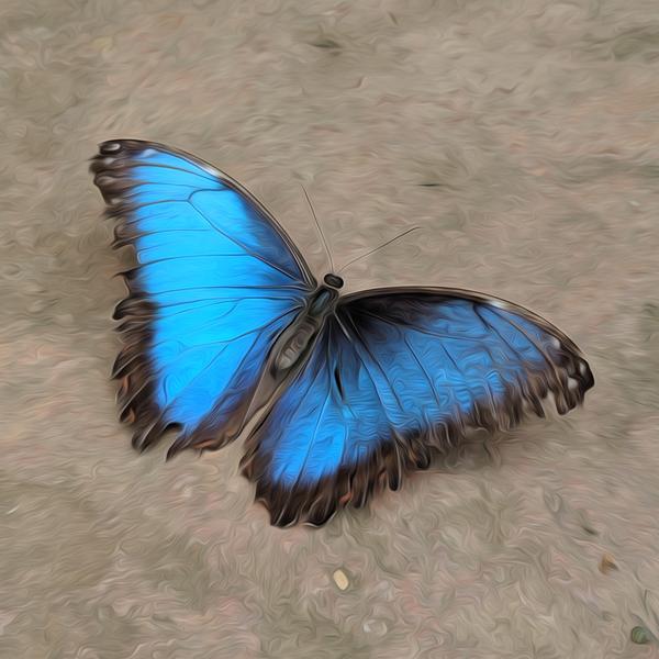 Glowing Blue Butterfly - DIY Diamond Painting