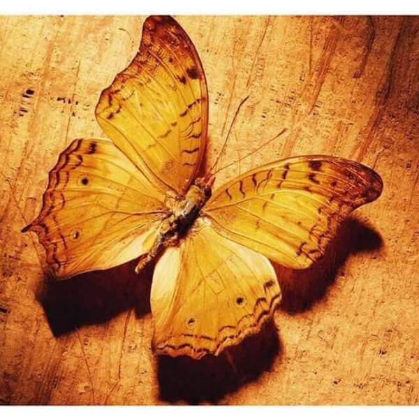 Yellow Butterfly - DIY Diamond Painting