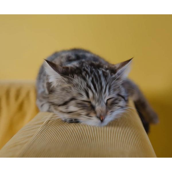 Sleeping Cat - DIY Diamond Painting