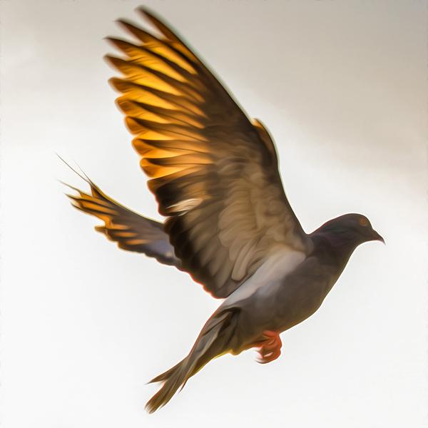 Flying Bird - DIY Diamond Painting