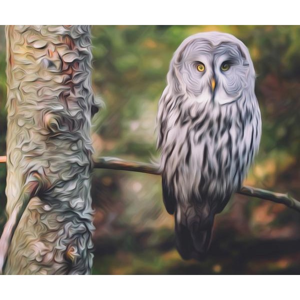 Guarding Owl - DIY Diamond Painting