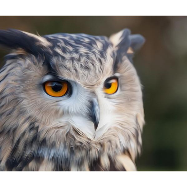 Snappy Owl - DIY Diamond Painting