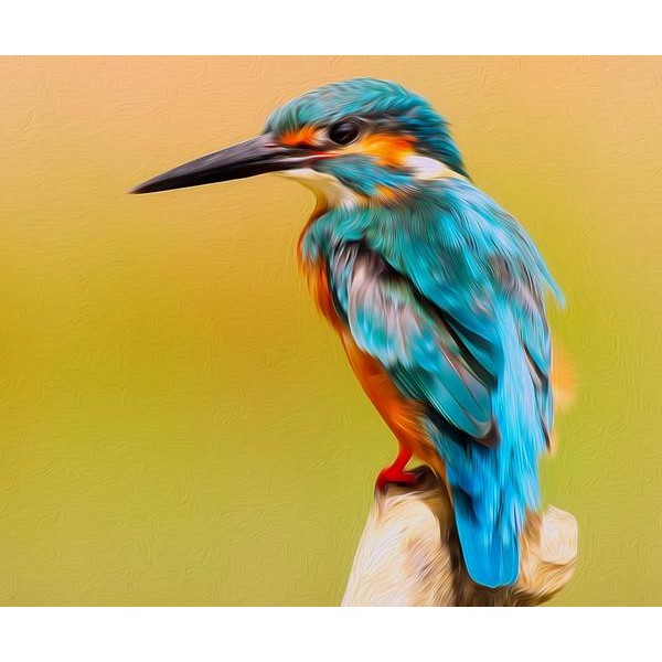 Kingfisher Bird - DIY Diamond Painting