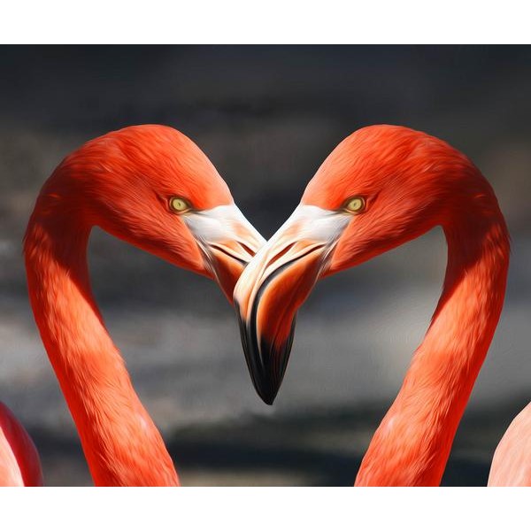 Flamingo Love - DIY Diamond Painting
