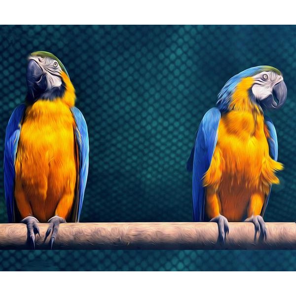 Tropical Parrot - DIY Diamond Painting