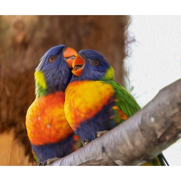 Lovers Parrot - DIY Diamond Painting