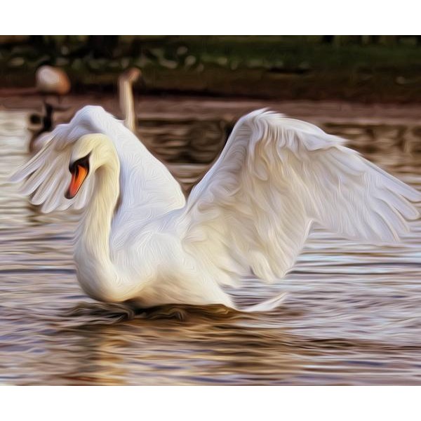 Lovely Swan - DIY Diamond Painting