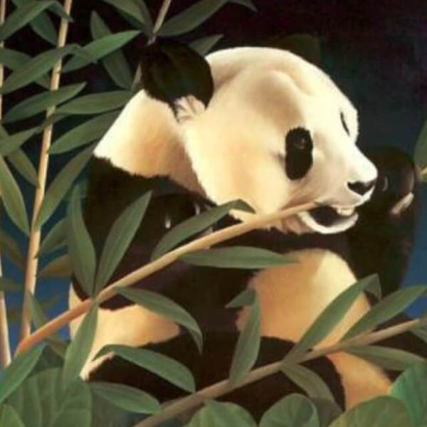 Panda Eating Bamboo - DIY Diamond Painting