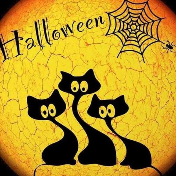 Halloween Three Cats - DIY Diamond Painting