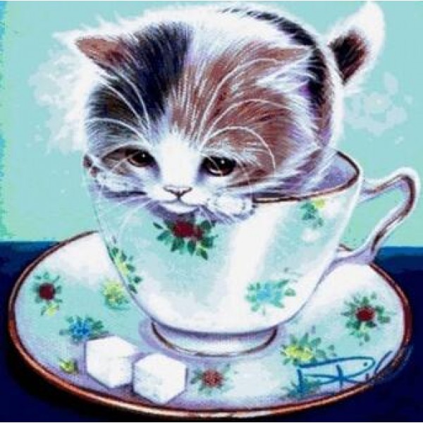Kitten in a Tea Cup - DIY Diamond Painting
