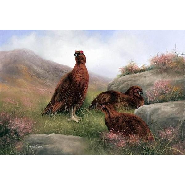 Ring-necked Pheasant - DIY Diamond Painting