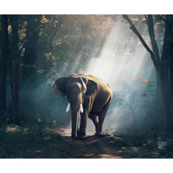 Stunning Elephant - DIY Diamond Painting