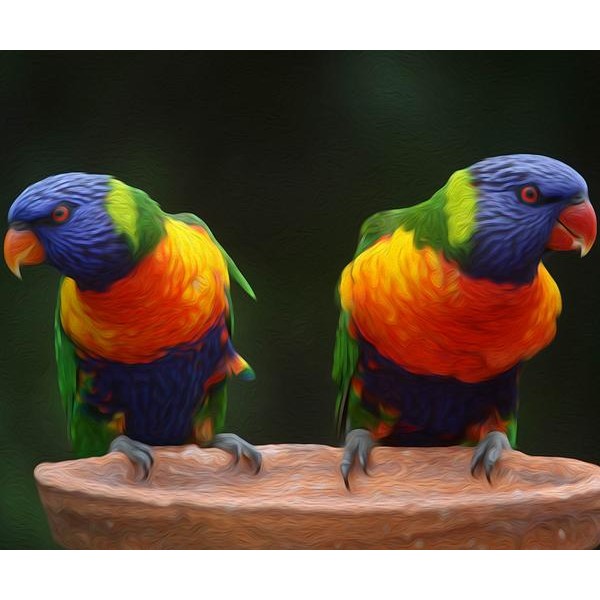 Parrot Lovers - DIY Diamond Painting