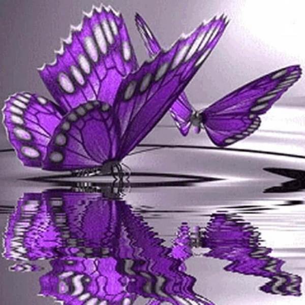 Purple Butterfly - DIY Diamond  Painting
