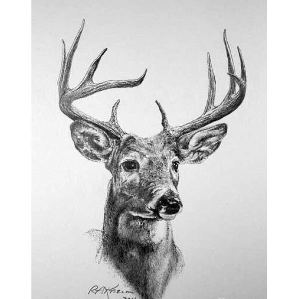 Deer Art - DIY Diamond Painting