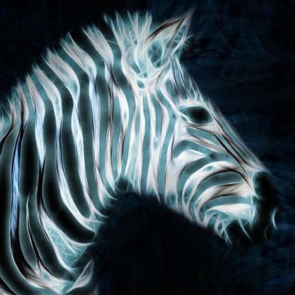 Zebra - DIY Diamonds Painting