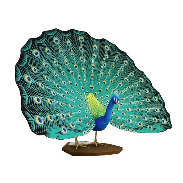 Indian Peafowl DIY 3D Origami