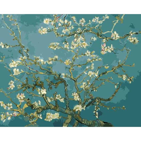 Blossom - DIY Painting By Numbers