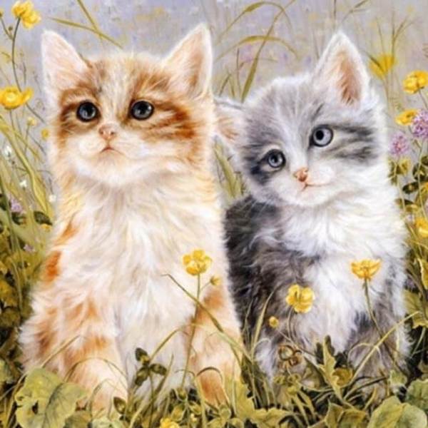Lovely Cute Cats - DIY Painting By Numbers