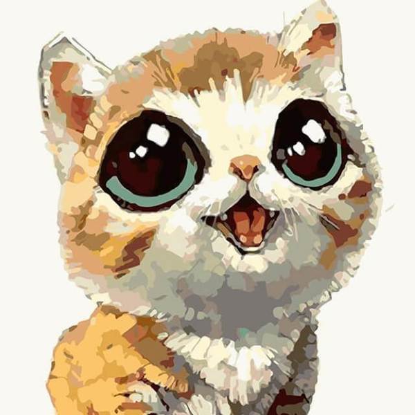 Lovely Cat - DIY Painting By Numbers