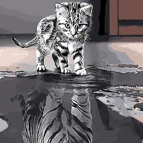 Cat or Tiger ? -  DIY Painting By Numbers