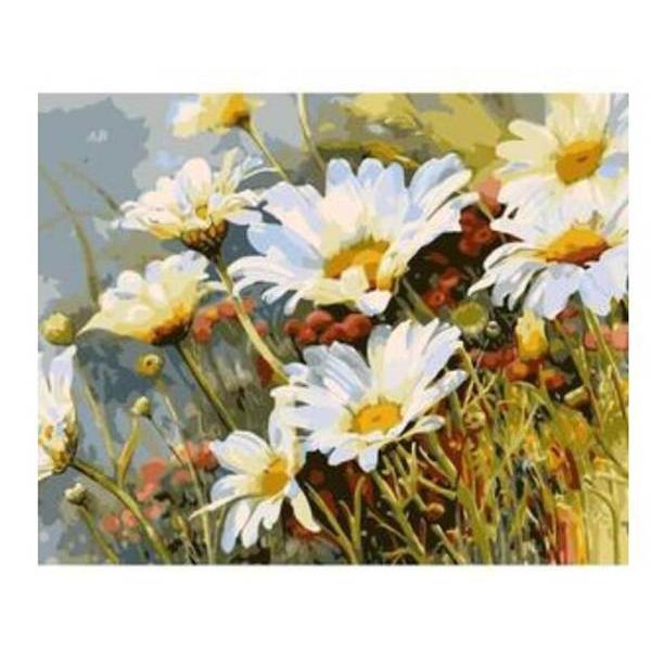 Daisy - DIY Painting By Numbers