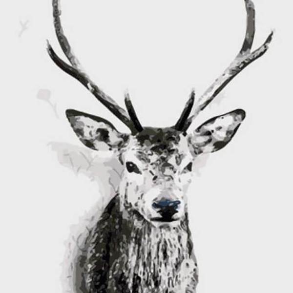 Deer -DIY Painting By Numbers