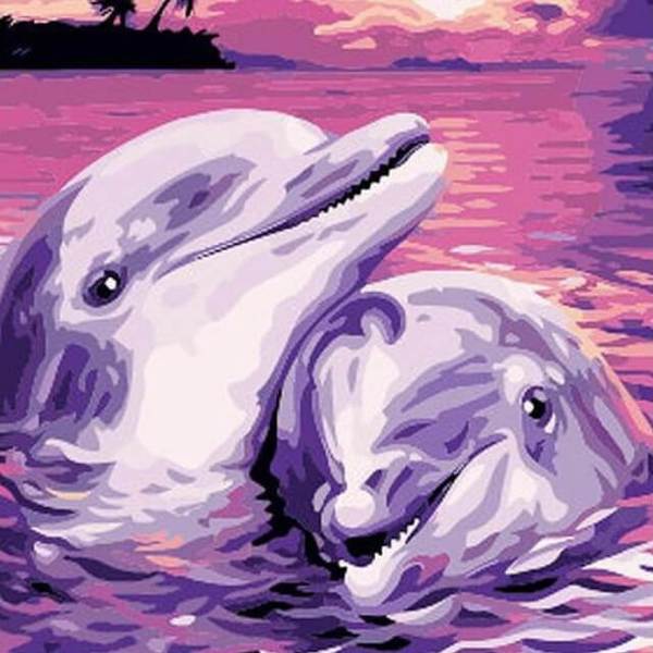 Dolphins - DIY Painting By Numbers