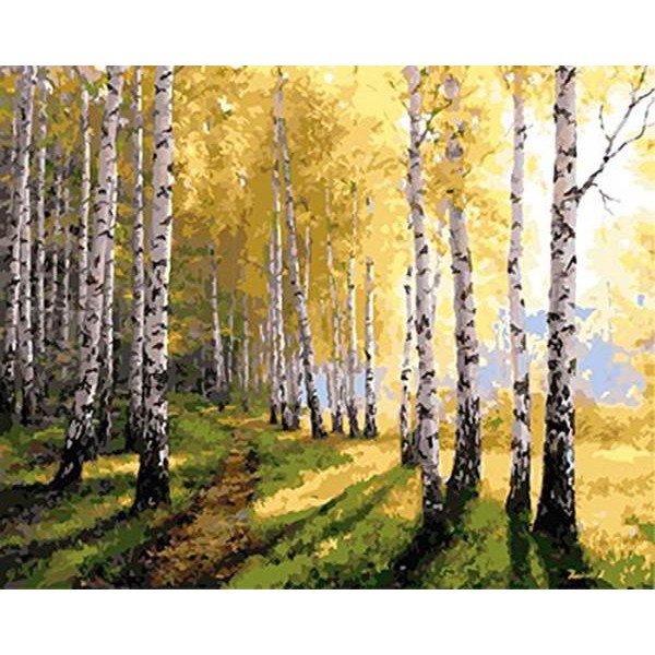 Forest - DIY Painting By Numbers