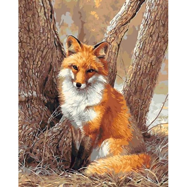 Sweet Fox - DIY Painting By Numbers