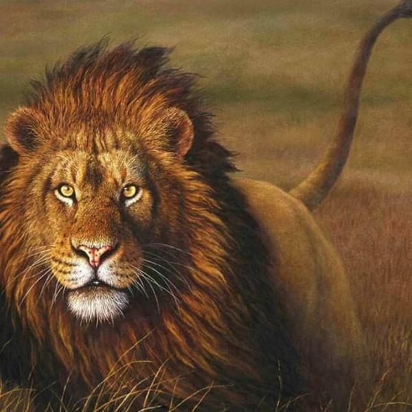 Lion in the Nature -  DIY Painting By Numbers