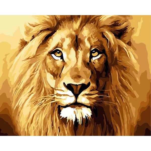 Lion - DIY Painting By Numbers