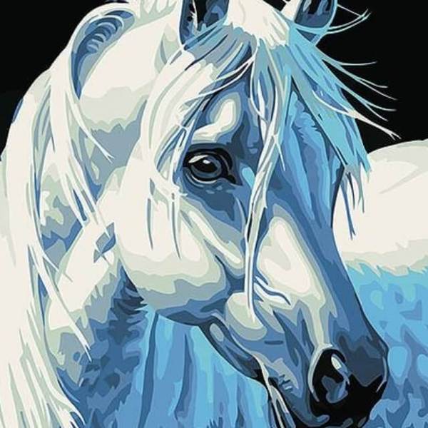 White Horse - DIY Painting By Numbers