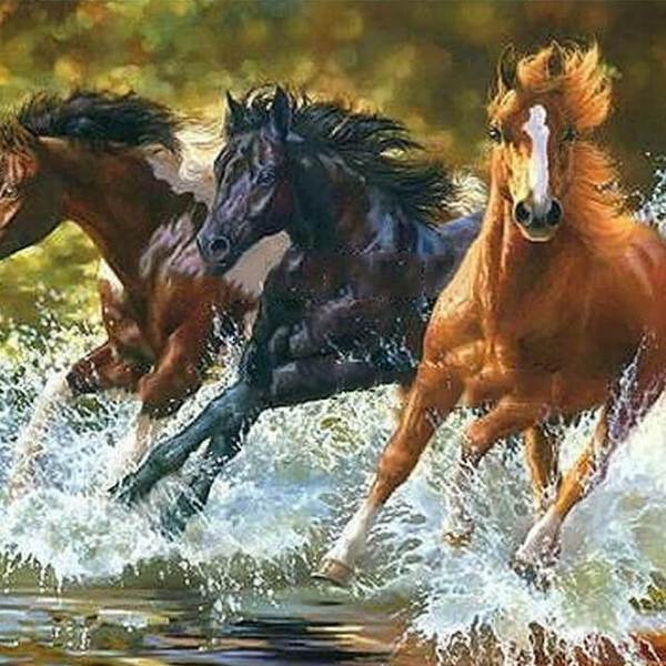 Horses Running in the Water -  DIY  Painting By Numbers