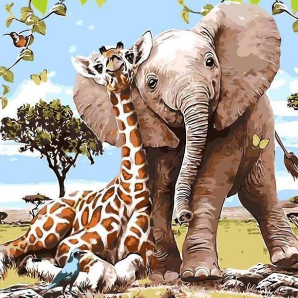 Elephant  &  Giraffe -  DIY Painting By Numbers