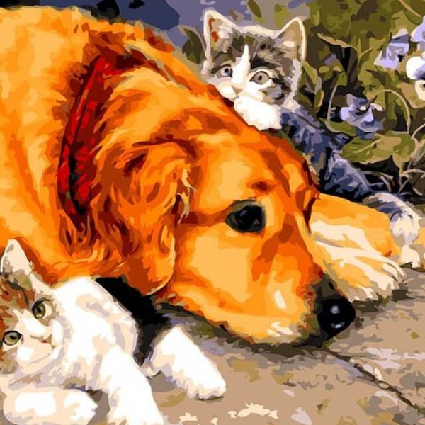 Dog with Cats - DIY Painting By Numbers