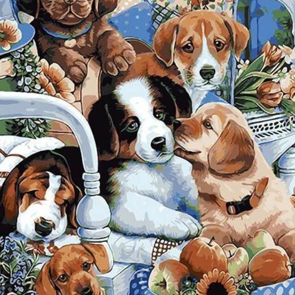 Lovely Puppies - DIY Painting By Numbers