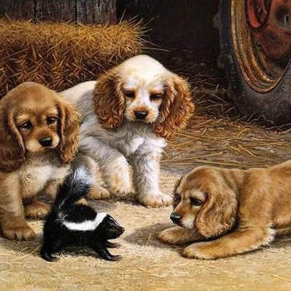 Dogs Playing - DIY Painting By Numbers