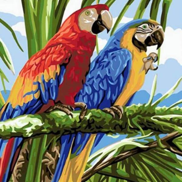 Parrots on a Tree -  DIY Painting By Numbers