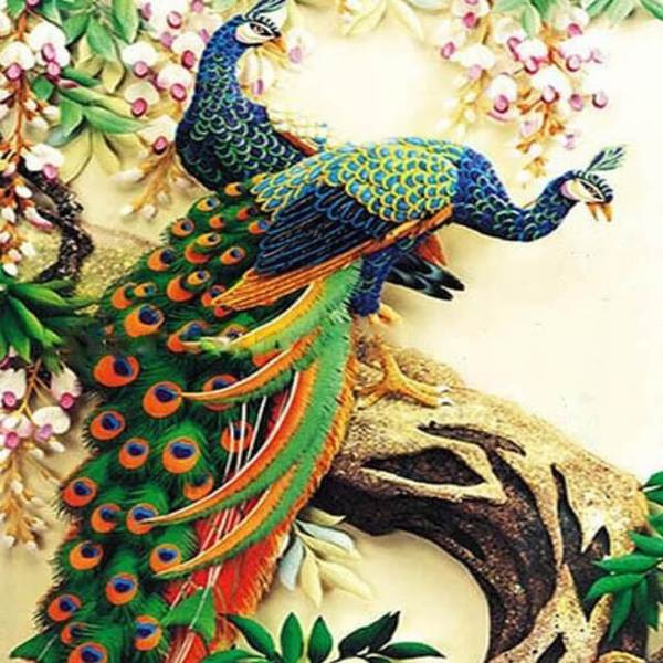 Peacock  - DIY Painting By Numbers