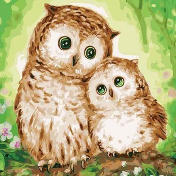 Owl Lovers - DIY Painting By Numbers