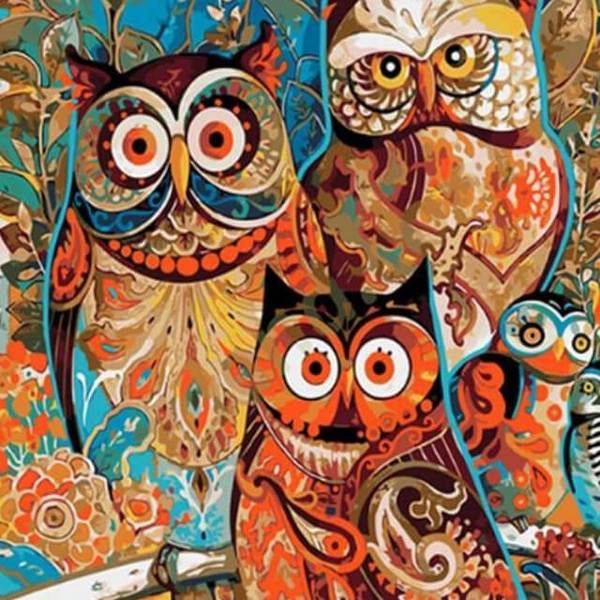 Abstract Owls -  DIY Painting By Numbers