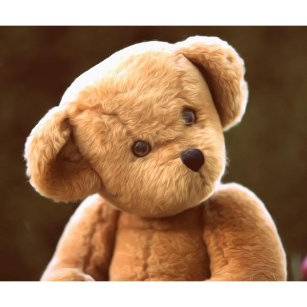 Confused Teddy - DIY Diamond Painting