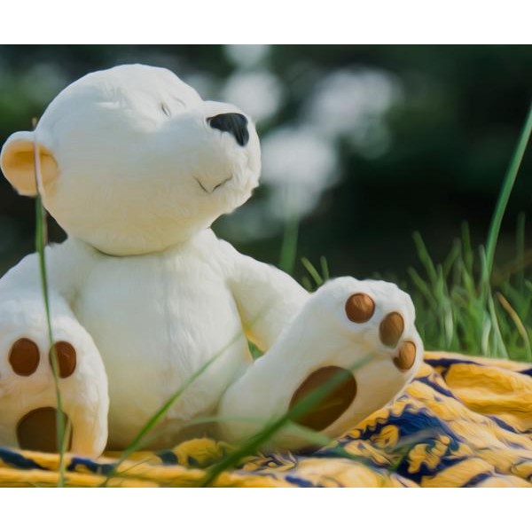 Teddy Bear Picnic - DIY Diamond Painting