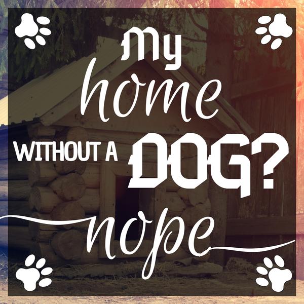 Home Without a Dog - DIY Diamond  Painting