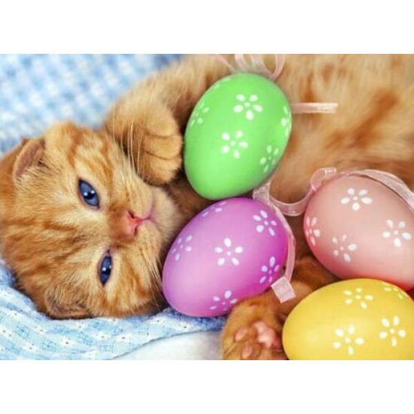 Cat with an Easter Eggs - DIY Diamond Painting