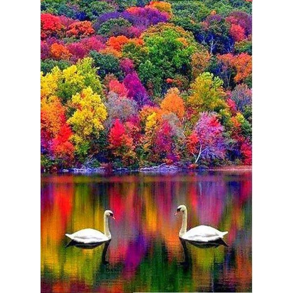 Colorful Forest by the Lake - DIY Diamond Painting